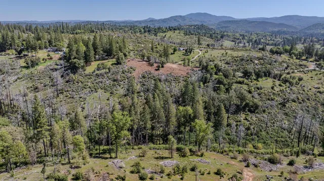 a view of a city with lush green forest