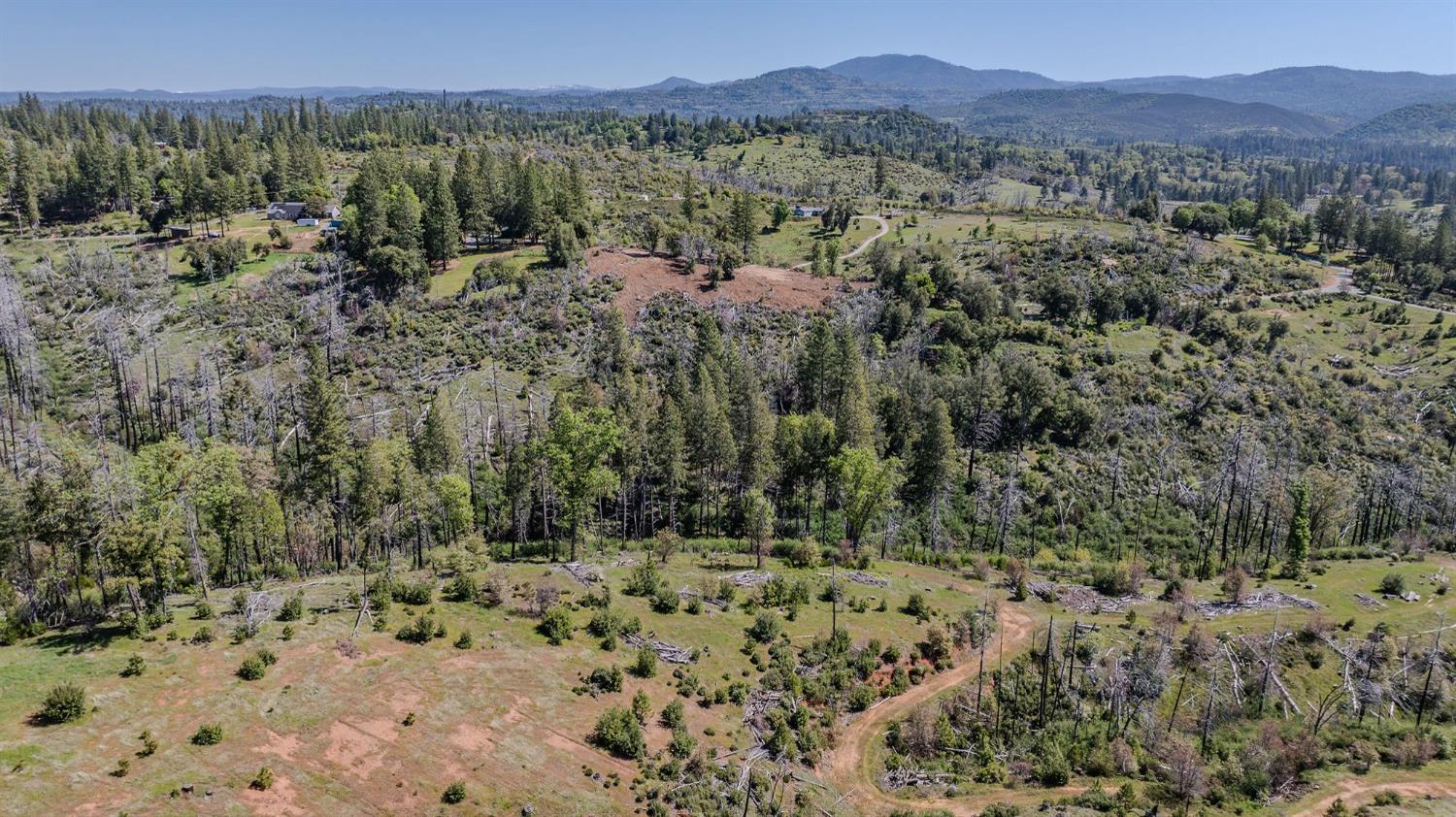 5901 Old Emigrant Trail Mountain Ranch, CA 95246 - Photo 18 of 27 a view of a forest with mountains in the background