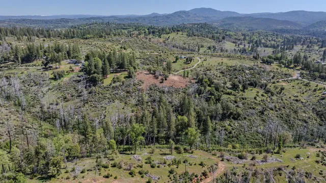 a view of a lush green field with mountains in the background