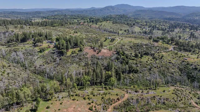 a view of a back yard