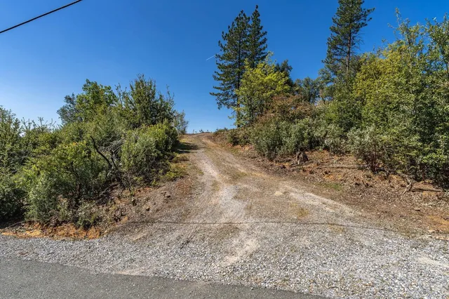 a view of a road with a tree in the background