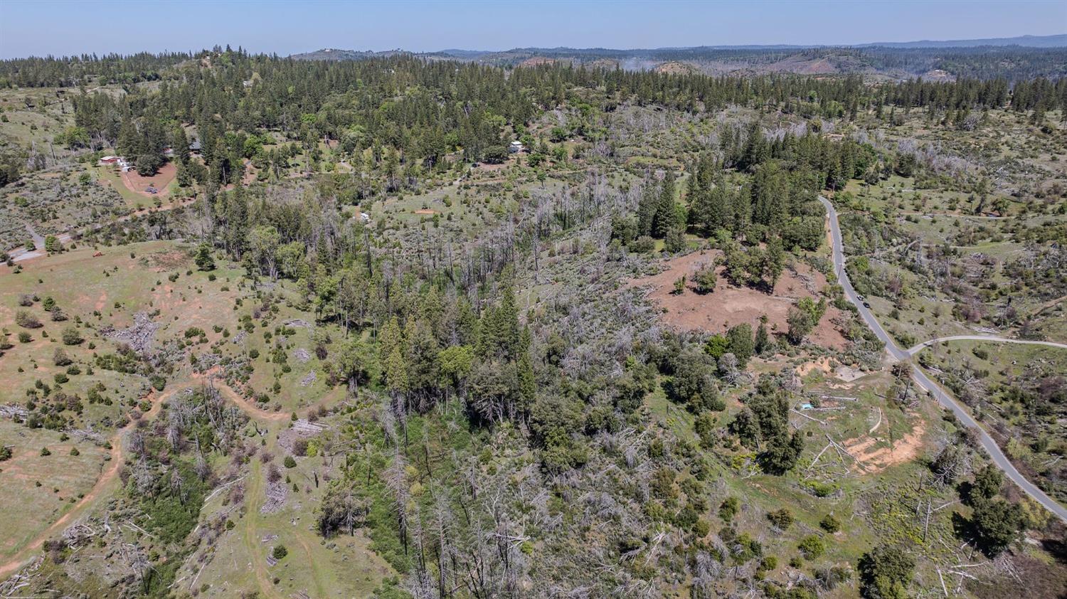 5901 Old Emigrant Trail Mountain Ranch, CA 95246 - Photo 22 of 27 a view of a forest with trees in the background