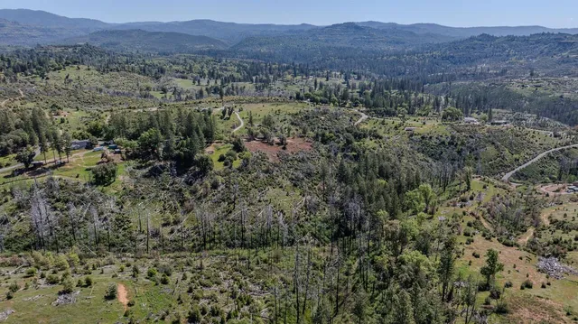 a view of a lush green hillside and a houses