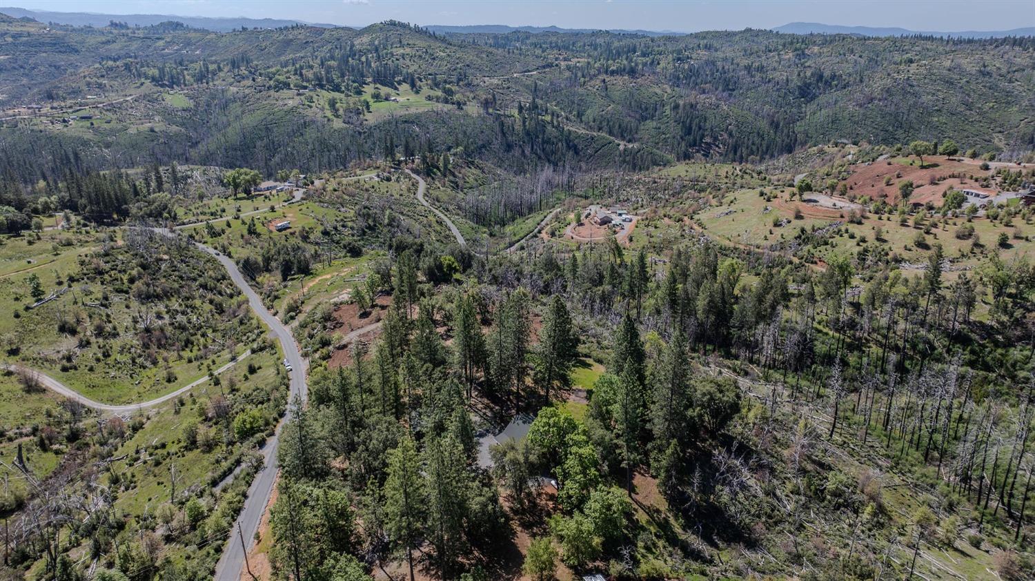 5901 Old Emigrant Trail Mountain Ranch, CA 95246 - Photo 25 of 27 a view of a forest with a forest