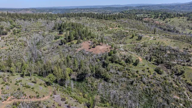 an aerial view of forest