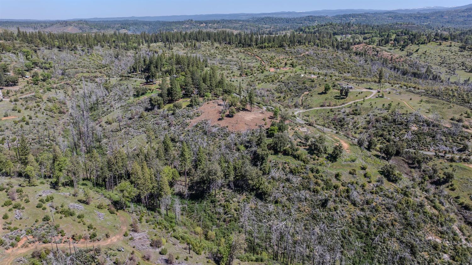 5901 Old Emigrant Trail Mountain Ranch, CA 95246 - Photo 26 of 27 an aerial view of forest