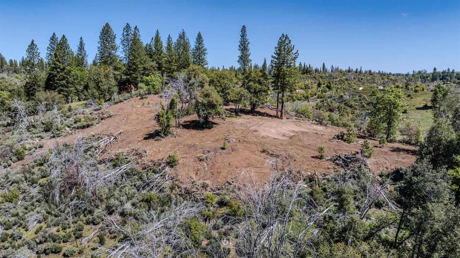 5901 Old Emigrant Trail Mountain Ranch, CA 95246 - Photo 3 of 27 a view of a covered with trees in the background