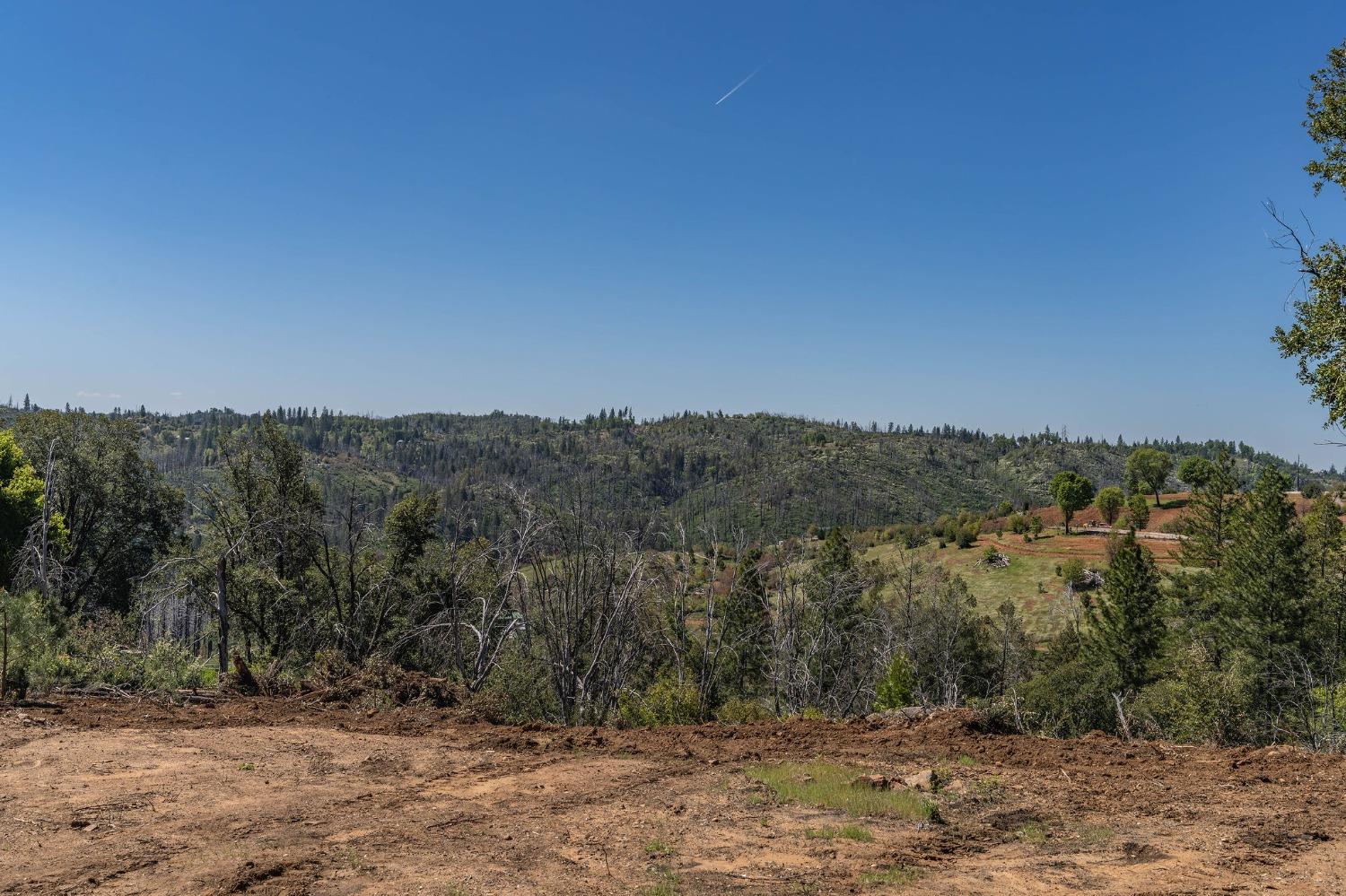 5901 Old Emigrant Trail Mountain Ranch, CA 95246 - Photo 7 of 27 a view of a forest with trees in the background