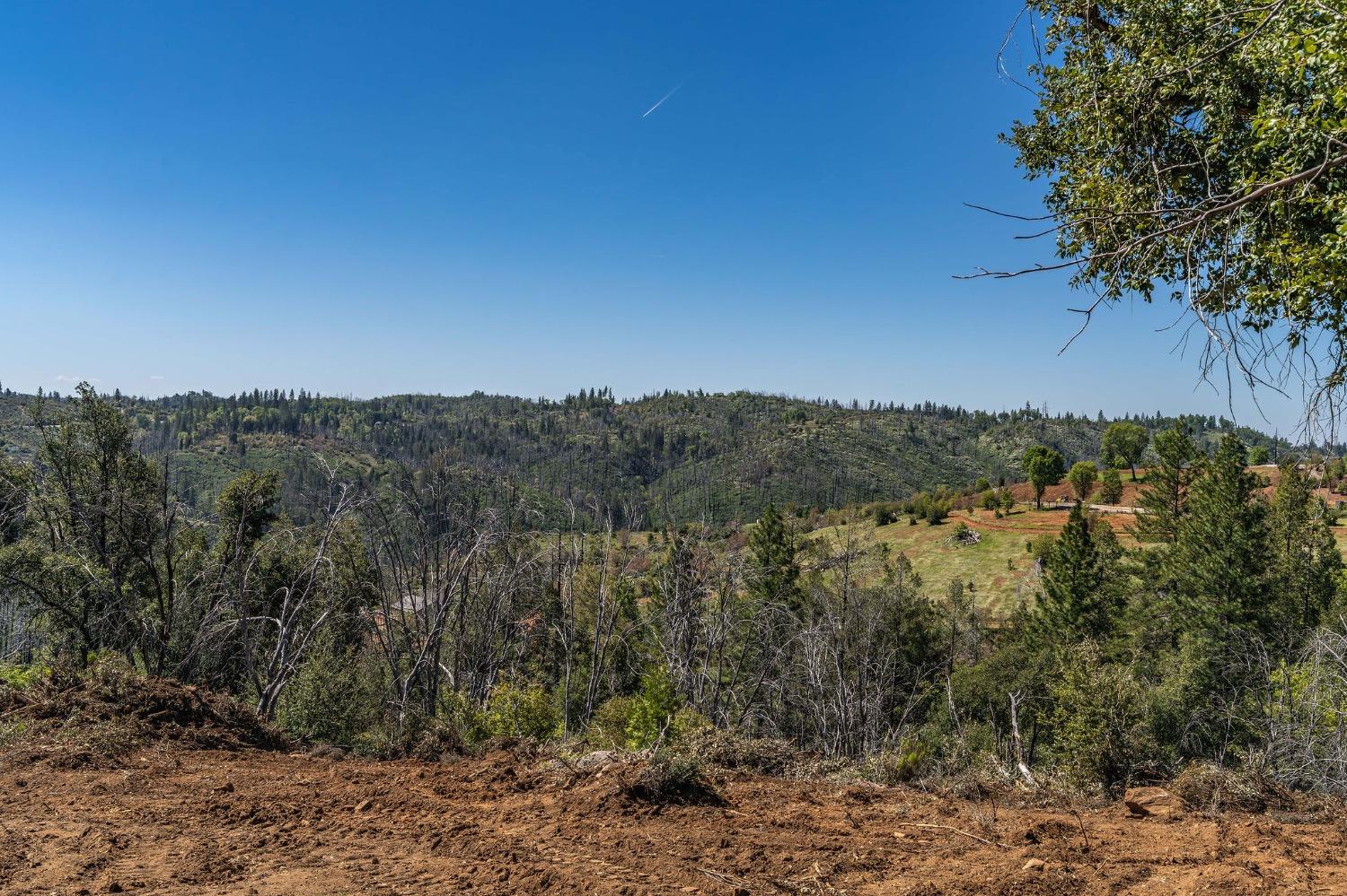 5901 Old Emigrant Trail Mountain Ranch, CA 95246 - Photo 8 of 27 a view of a forest with trees in the background