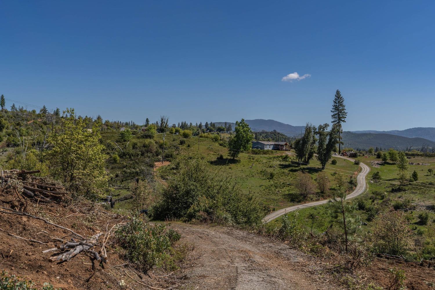 5901 Old Emigrant Trail Mountain Ranch, CA 95246 - Photo 9 of 27 a view of a houses with a yard