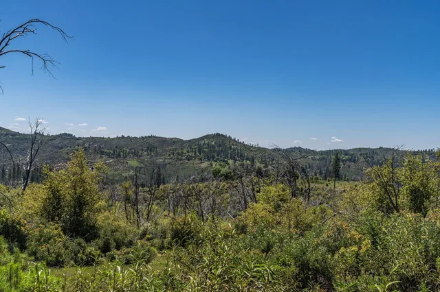 a view of a city with lush green forest