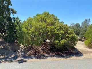 17323 Wagonwheel Road Corning, CA 96021 - Photo 3 of 3