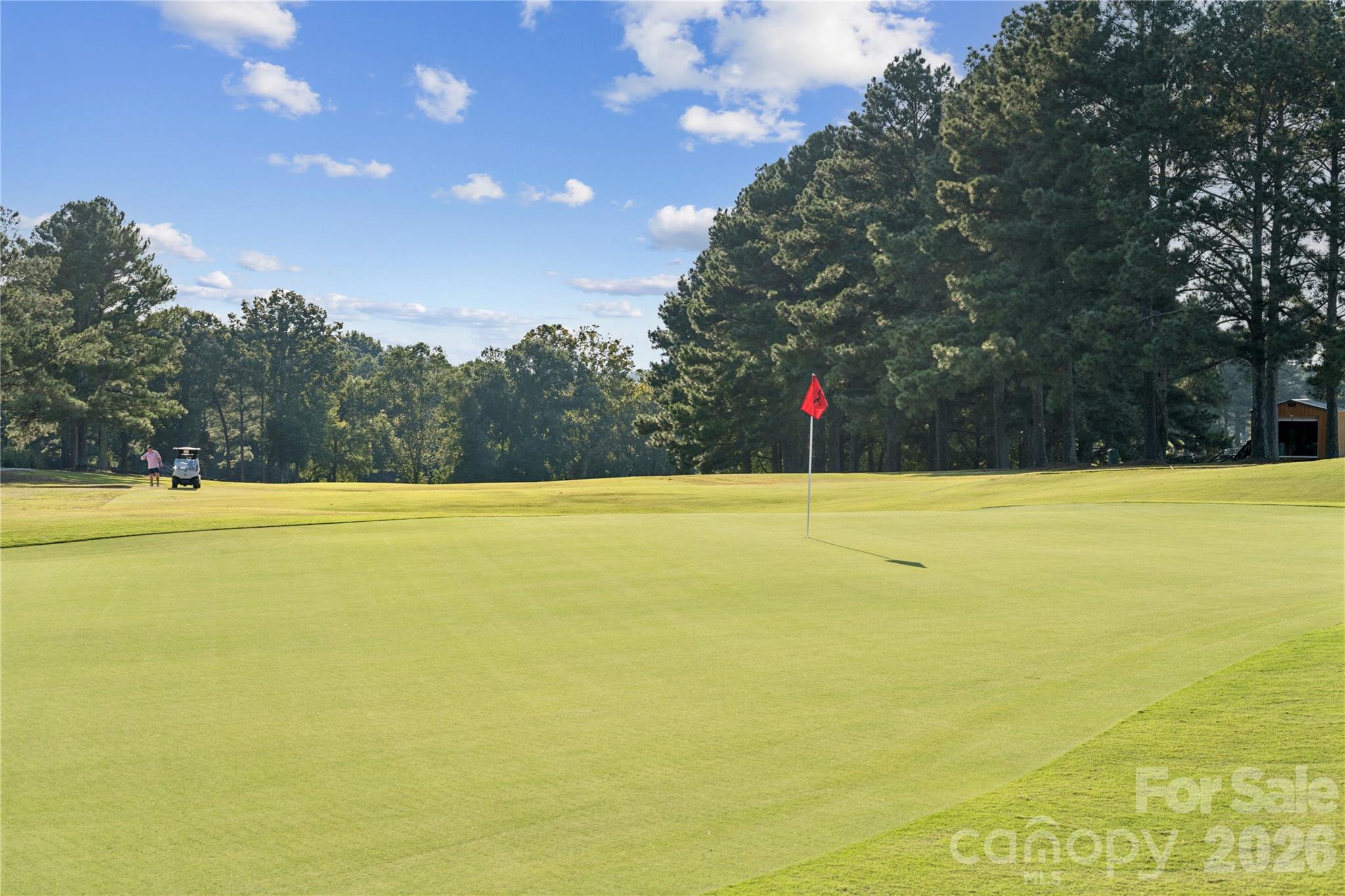 416 Alameda Way Matthews, NC 28104 - Photo 33 of 36 a view of an outdoor space and swimming pool