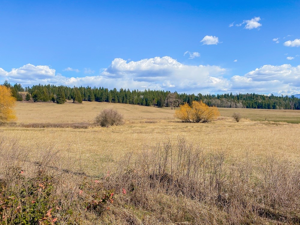 3488 Allen Road, Unit PARCEL B Elk, WA 99009 - Photo 6 of 8