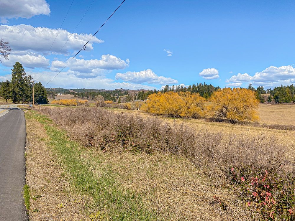 3488 Allen Road, Unit PARCEL B Elk, WA 99009 - Photo 8 of 8