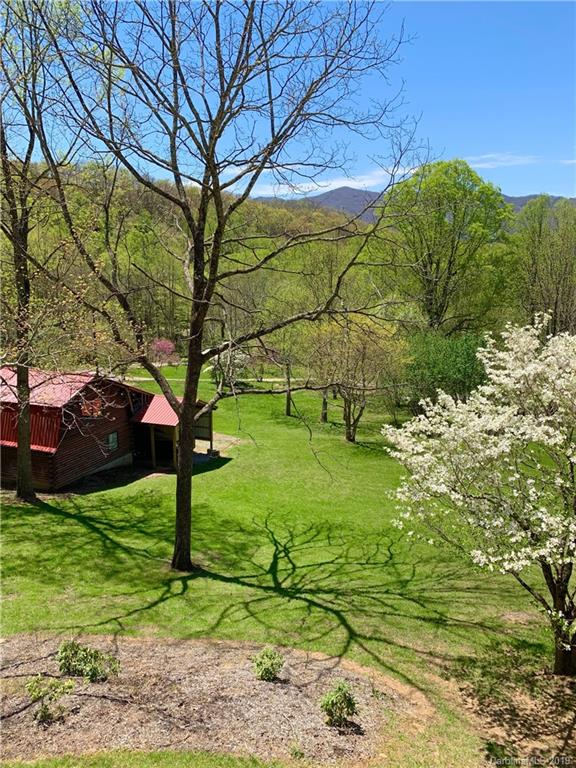 883 Spring Brook Waynesville, NC 28786 - Photo 39 of 40