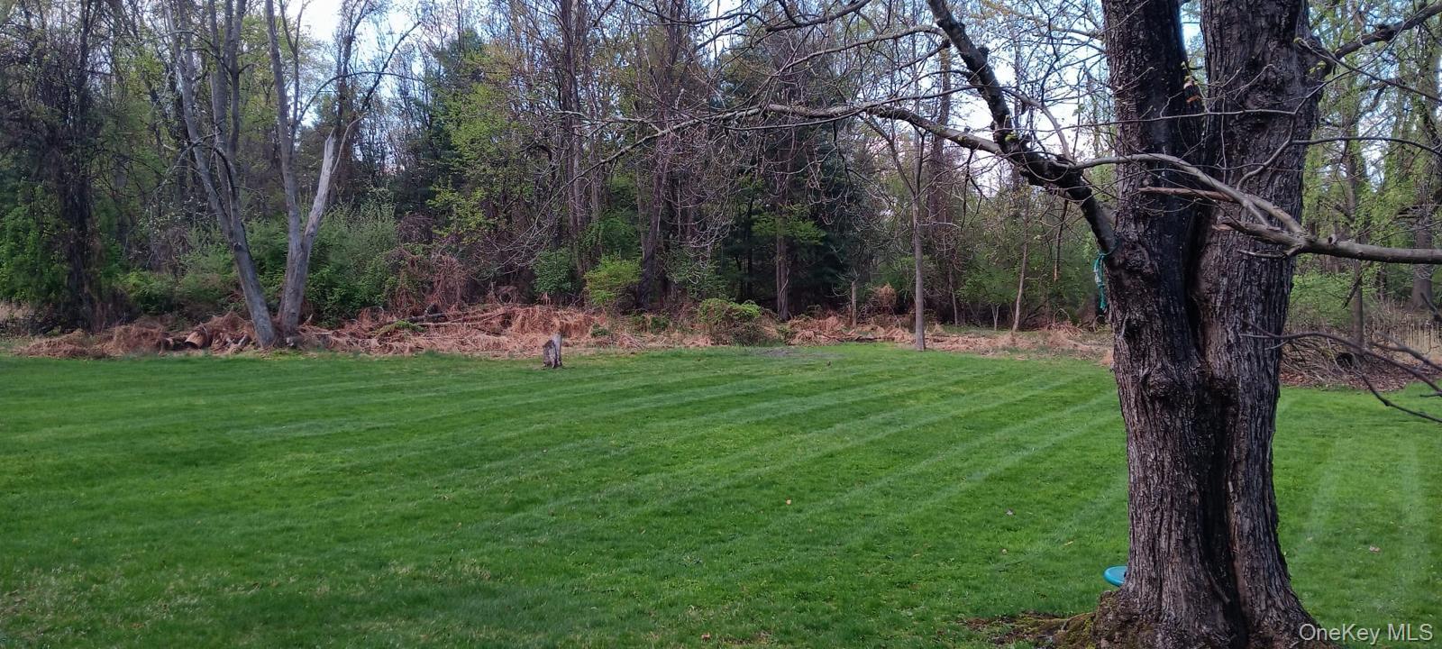 8 Keri Lane Spring Valley, NY 10977 - Photo 23 of 24