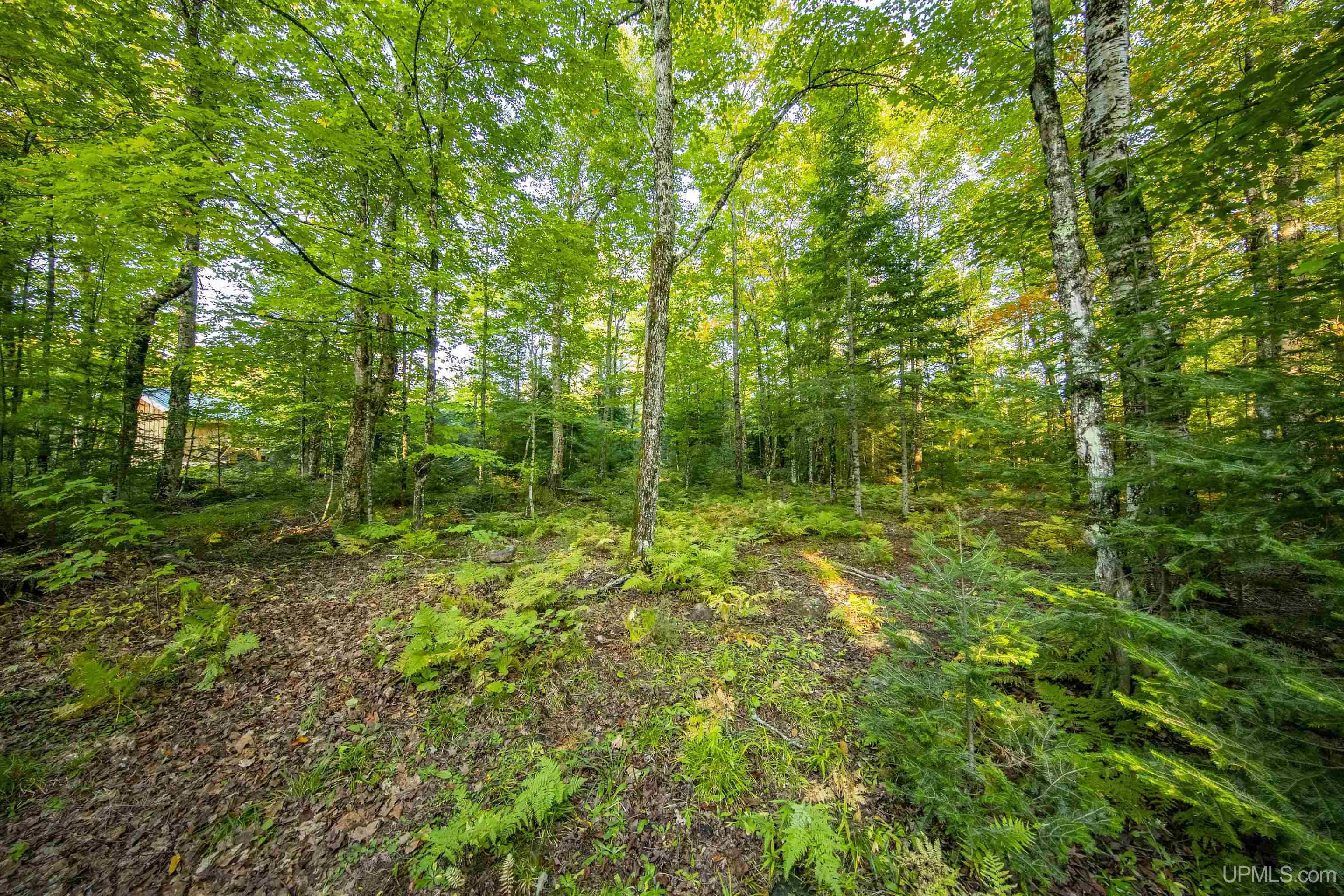 Tbd Luke Road Amasa, MI 49903 - Photo 10 of 64