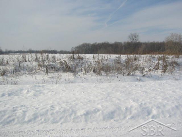 4 Rogers Road Freeland, MI 48623 - Photo 2 of 3 20079668-1.JPG