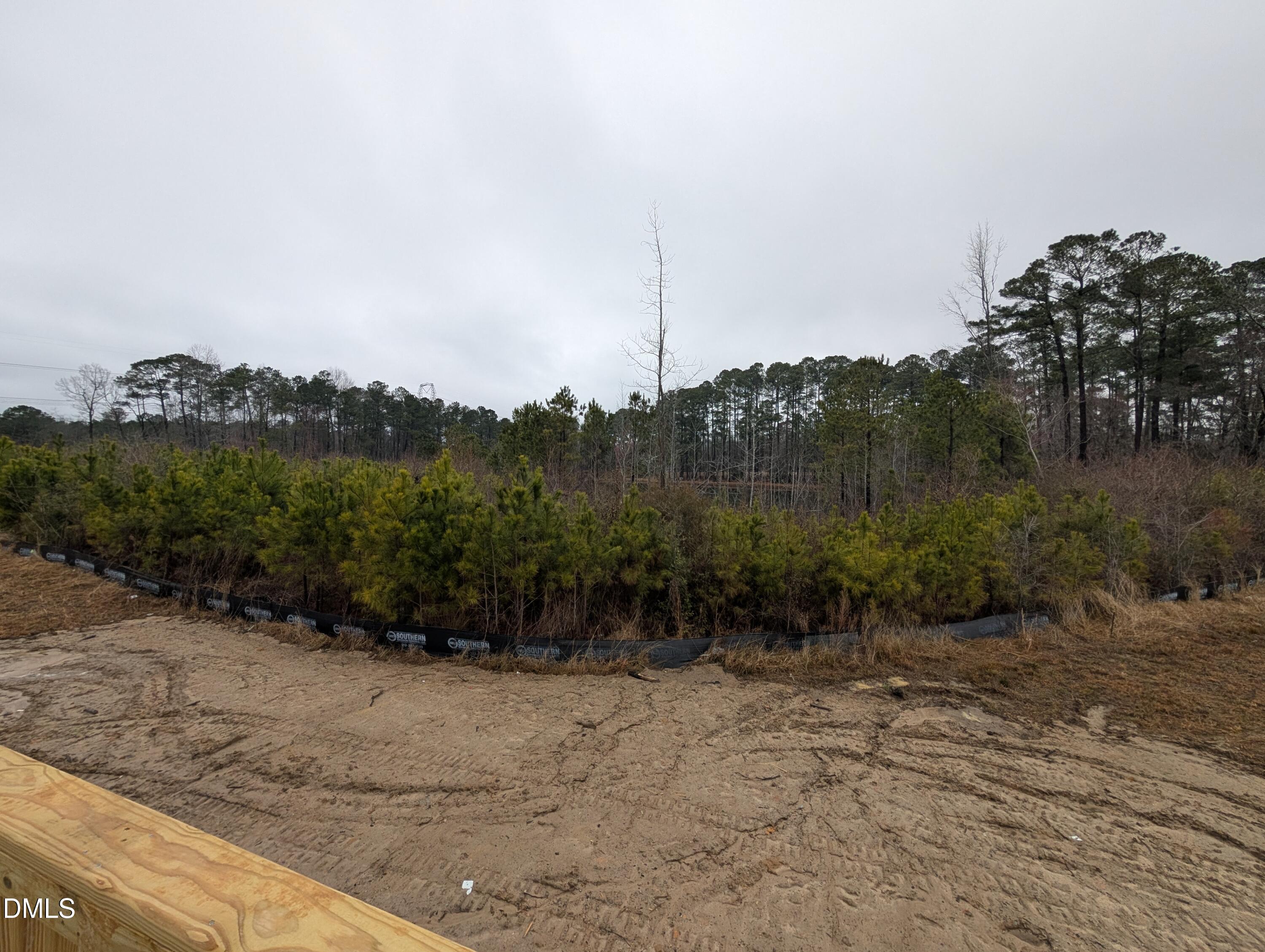 216 Cedar Rdg Trail Angier, NC 27501 - Photo 8 of 18 a view of a yard
