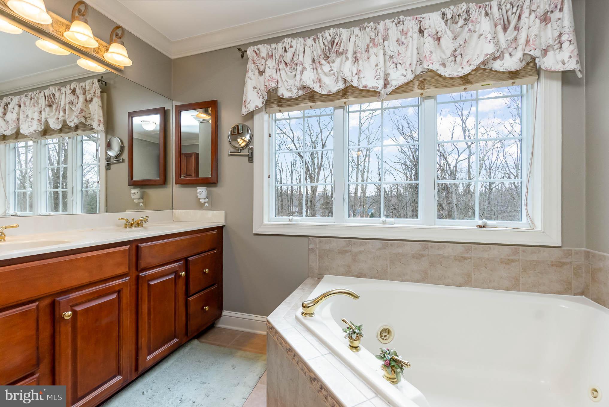 1737 Shanwick Road Forest Hill, MD 21050 - Photo 26 of 51 Primary bath with jacuzzi tub