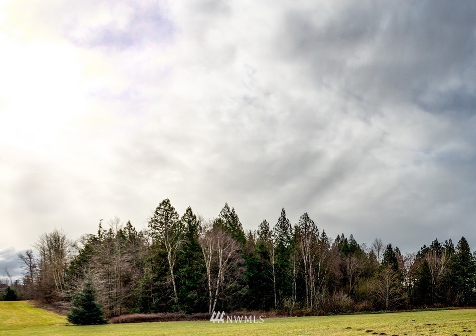 B West Axton Road Bellingham, WA 98226 - Photo 1 of 3