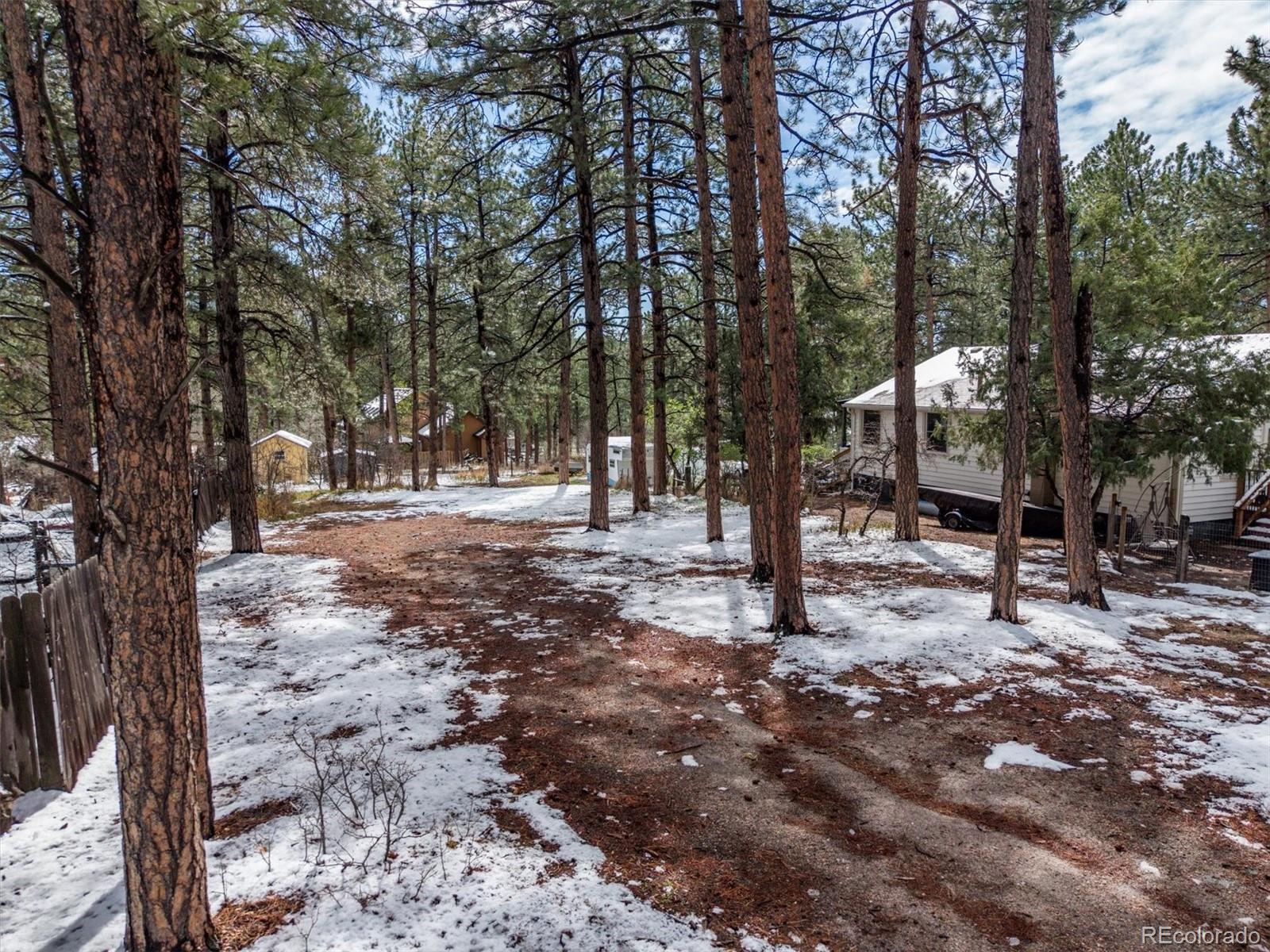 9231 South Curtis Road Larkspur, CO 80118 - Photo 1 of 16 a view of outdoor space with trees
