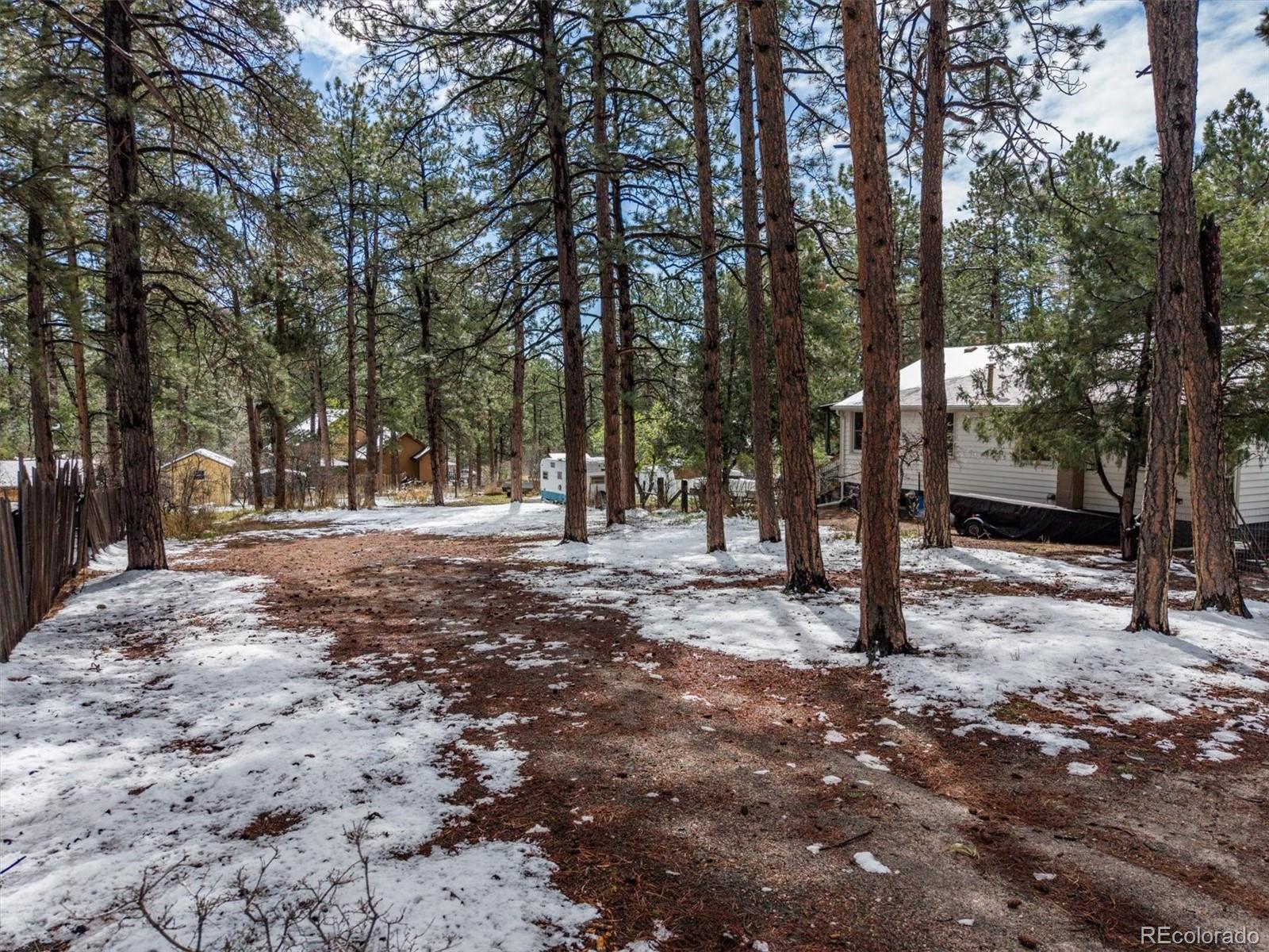 9231 South Curtis Road Larkspur, CO 80118 - Photo 2 of 16 a view of outdoor space with trees
