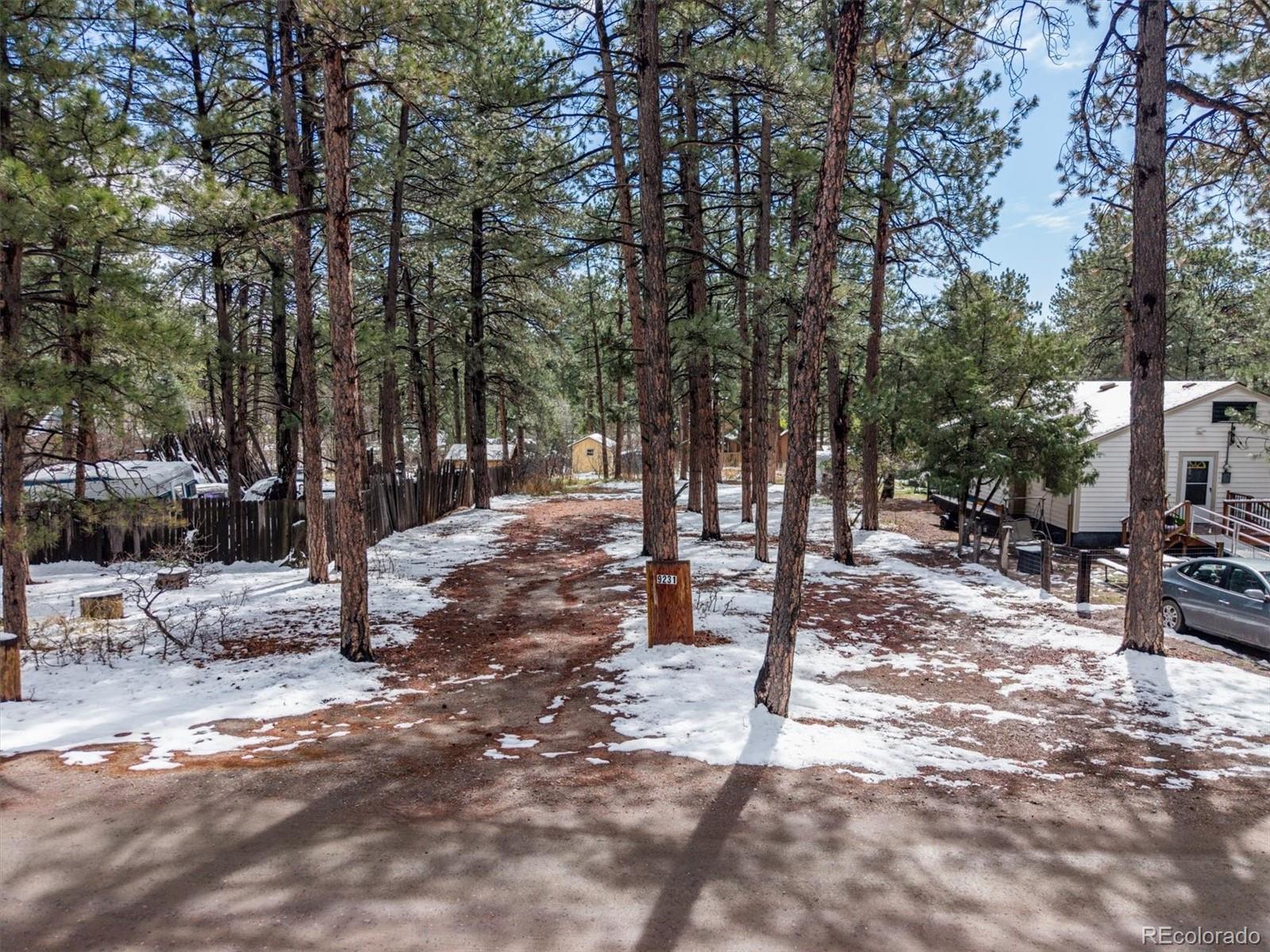 9231 South Curtis Road Larkspur, CO 80118 - Photo 5 of 16 a view of outdoor space with patio and trees