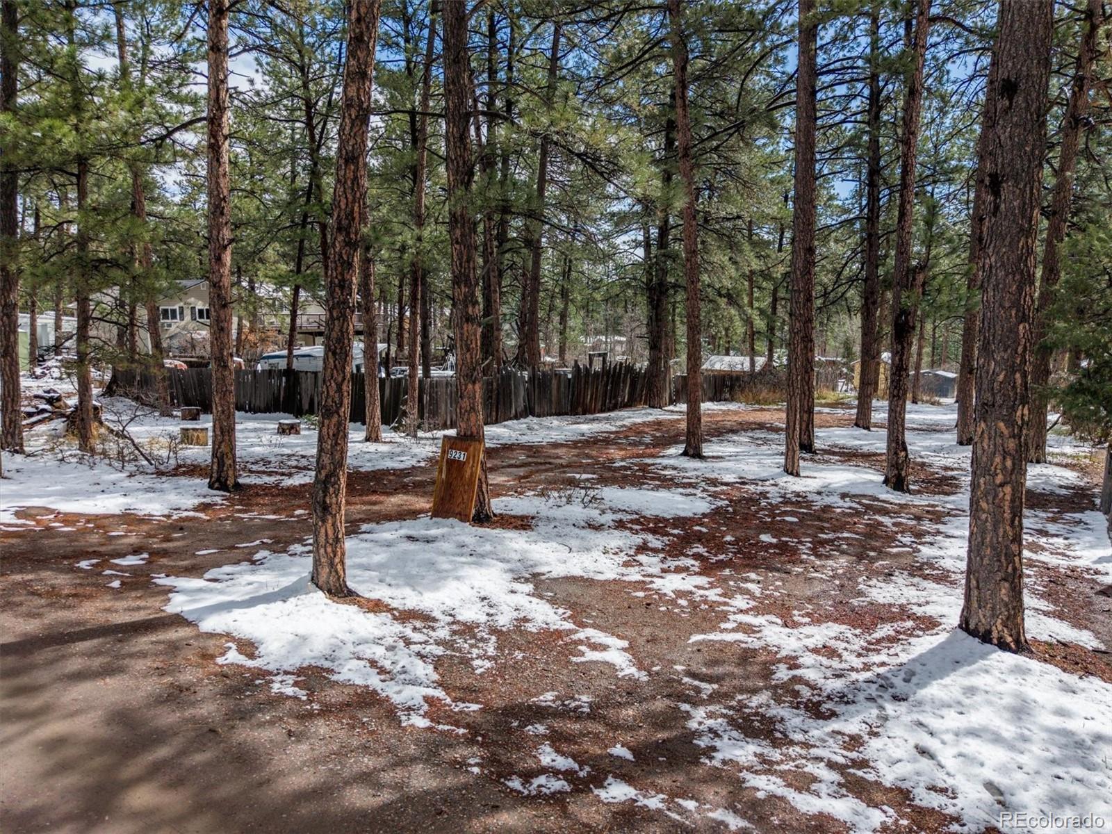 9231 South Curtis Road Larkspur, CO 80118 - Photo 6 of 16 a backyard of a house with lots of green space