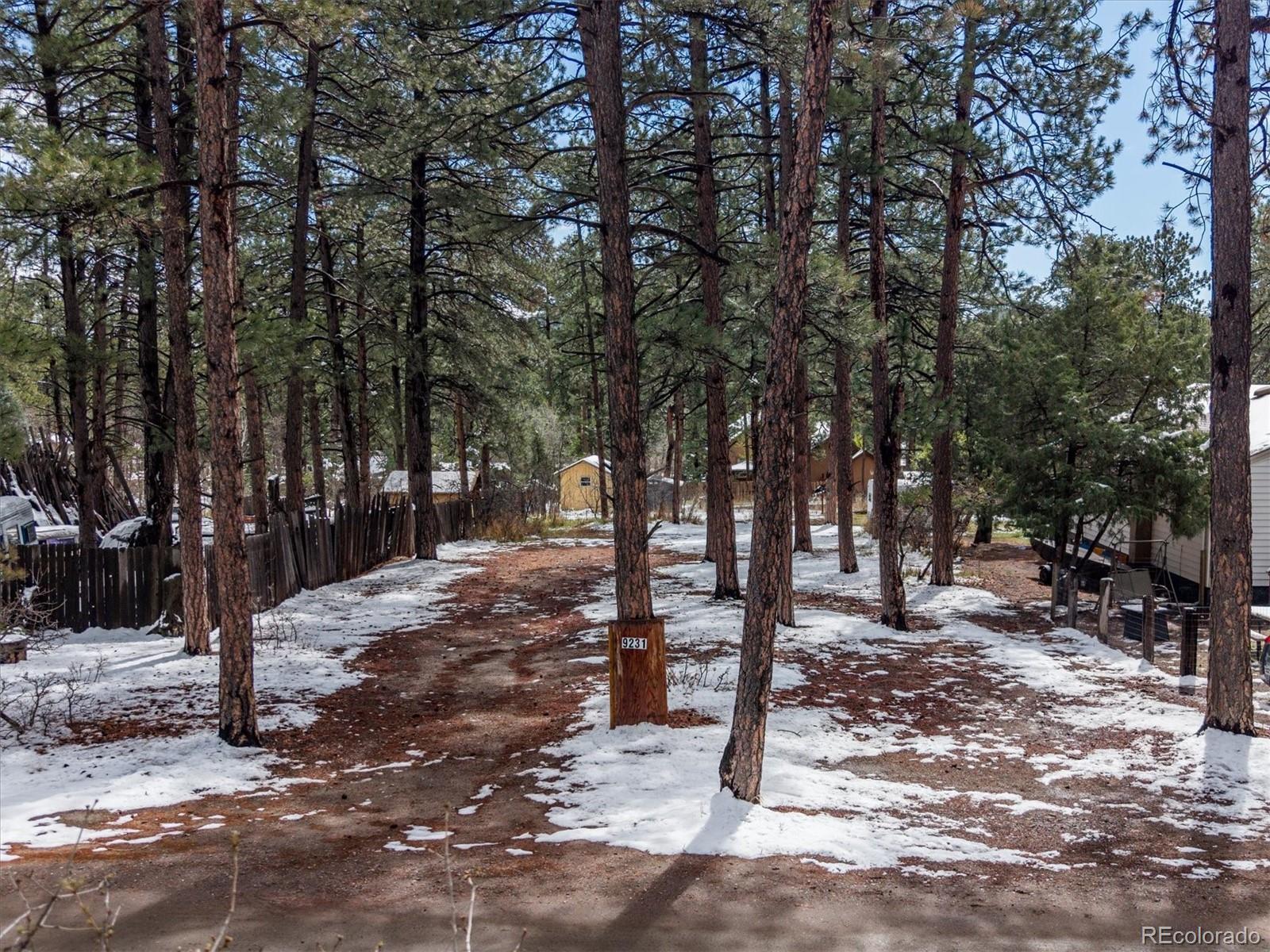 9231 South Curtis Road Larkspur, CO 80118 - Photo 7 of 16 a view of a park with trees