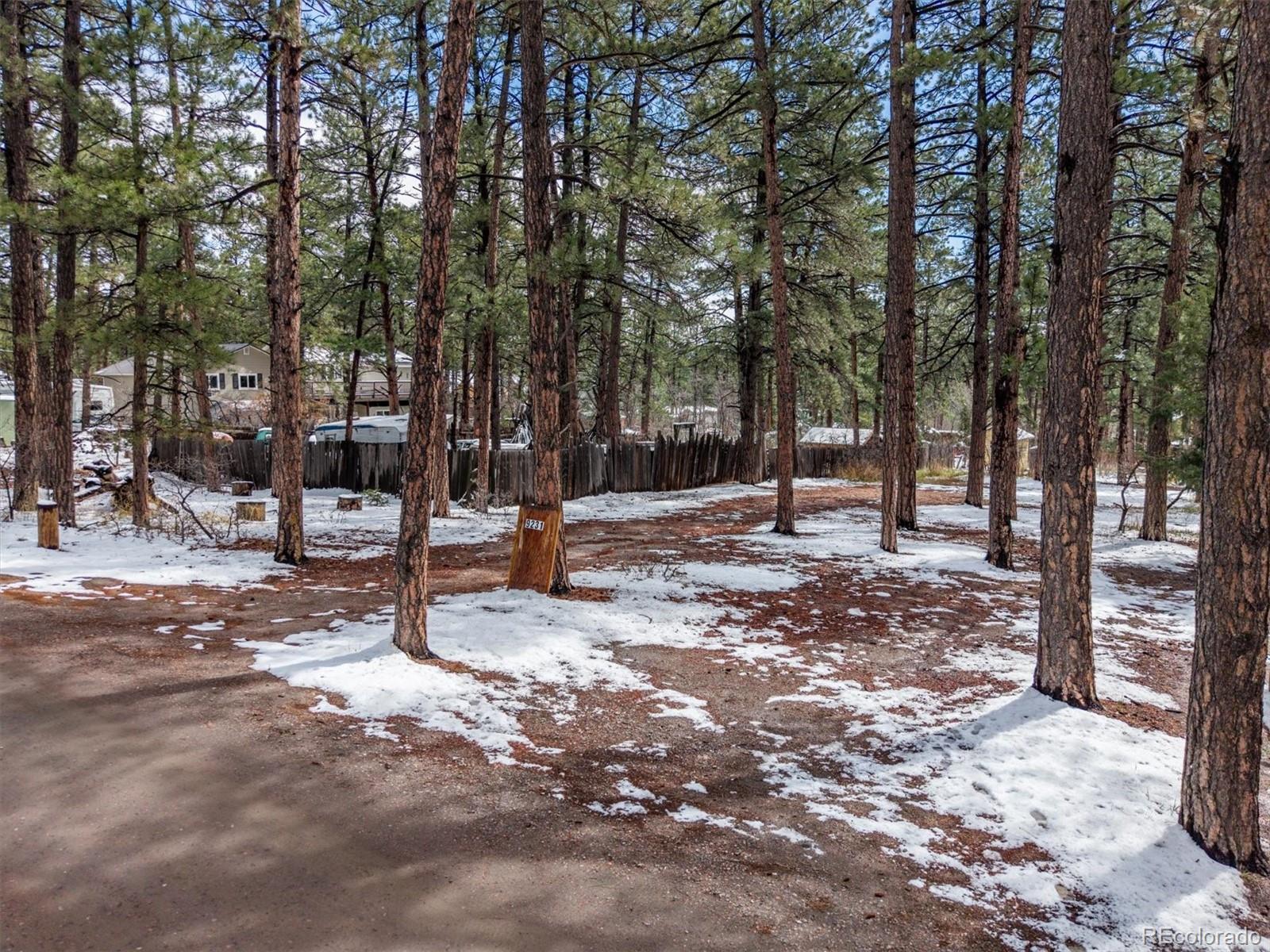 9231 South Curtis Road Larkspur, CO 80118 - Photo 8 of 16 a view of park with trees