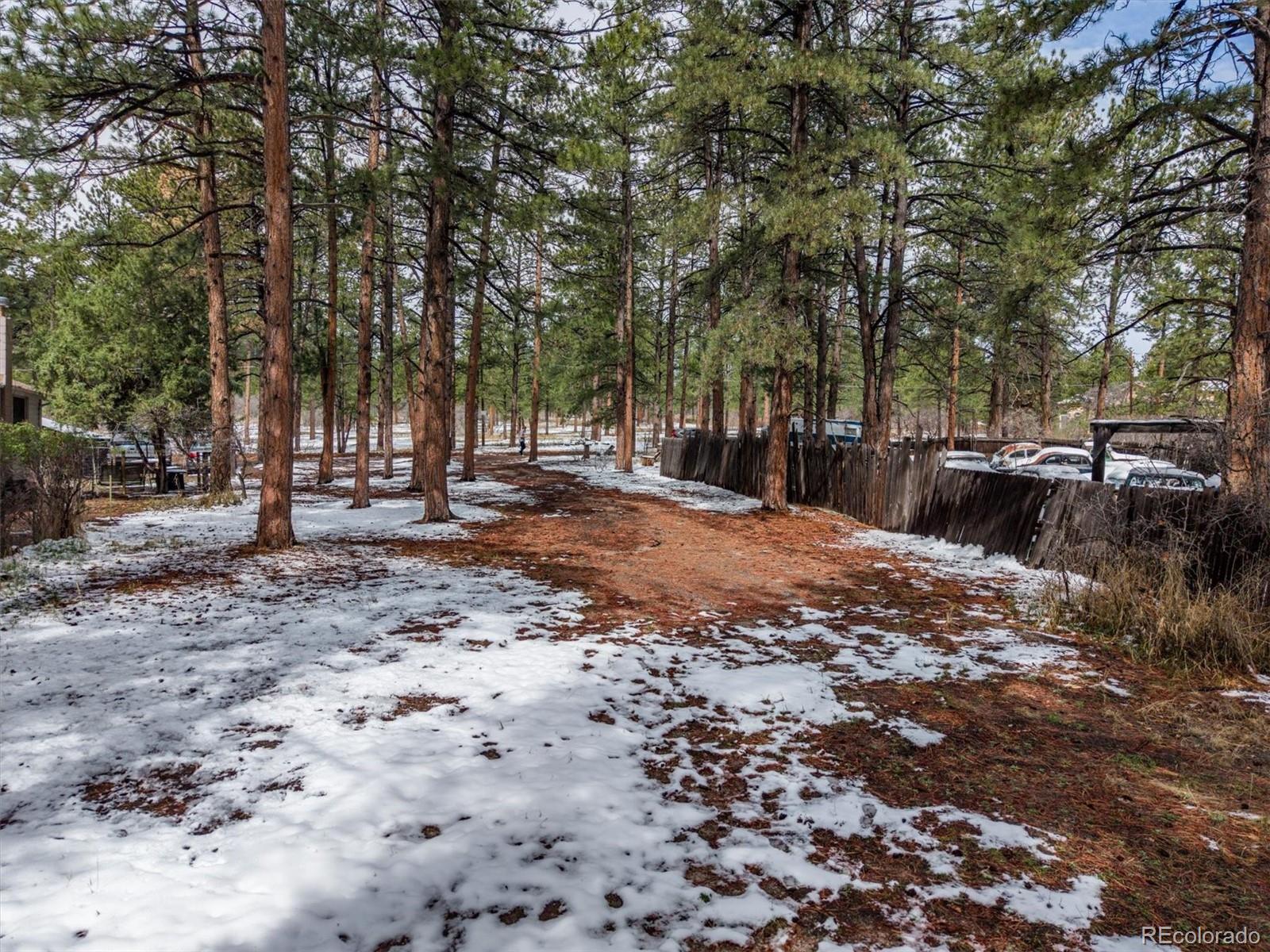 9231 South Curtis Road Larkspur, CO 80118 - Photo 9 of 16 a backyard of a house with trees