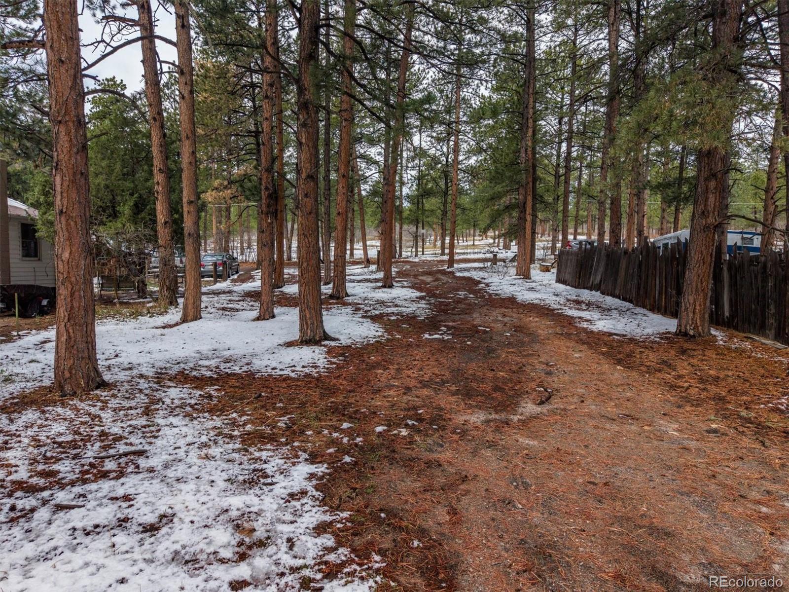 9231 South Curtis Road Larkspur, CO 80118 - Photo 10 of 16 a view of outdoor space with trees