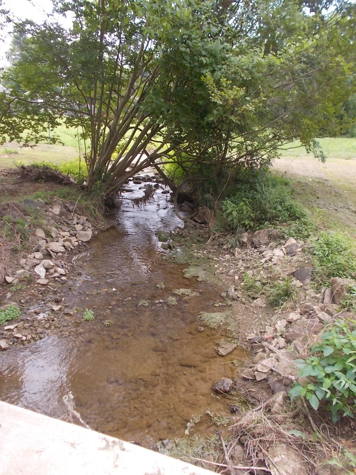 444 Horn Springs Road Lebanon, TN 37087 - Photo 30 of 30 Property has a small creek for the kids and pets to splash and play.