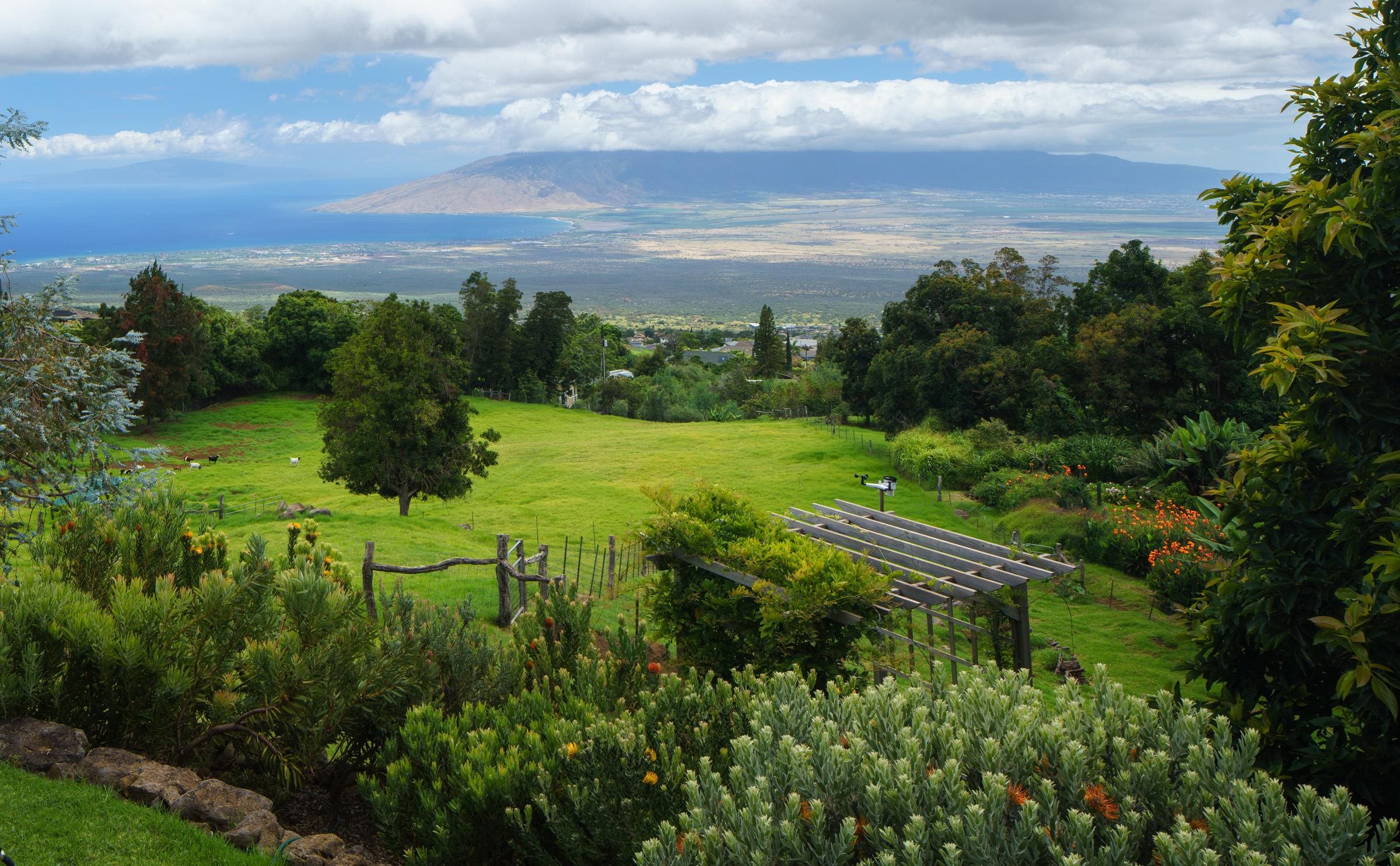610 Polipoli Road Kula, HI 96790 - Photo 28 of 48