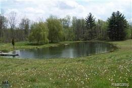 6597 Hunters Creek Road Imlay City, MI 48444 - Photo 8 of 11 Pond.jpg
