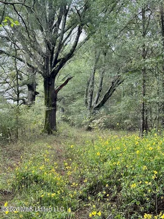 $125,000 | Swamp Road, Carthage, MS 39051