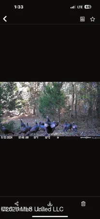 $125,000 | Swamp Road, Carthage, MS 39051