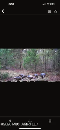 $125,000 | Swamp Road, Carthage, MS 39051