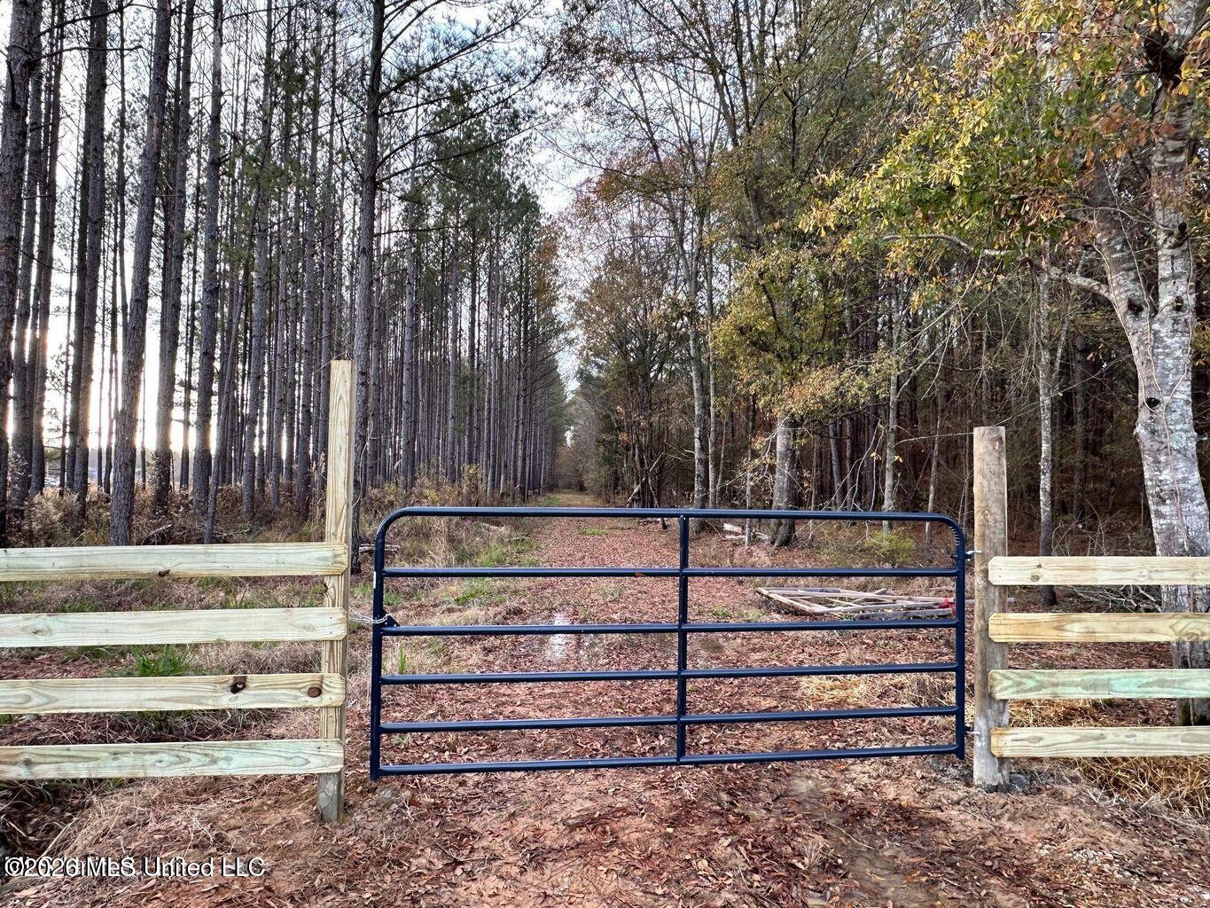 Swamp Road Carthage, MS 39051 - Photo 7 of 11 20250916021503573910000000-o