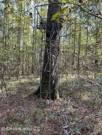 $125,000 | Swamp Road, Carthage, MS 39051