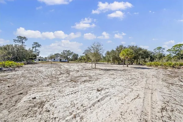 a view of road with large trees