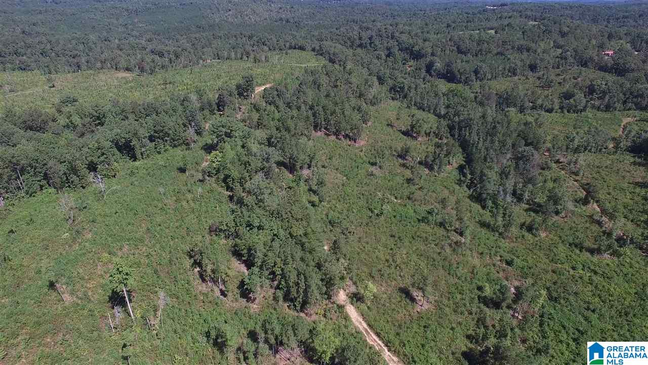 0 Jackson Trail, Unit 140 ACRES Altoona, AL 35952 - Photo 9 of 50