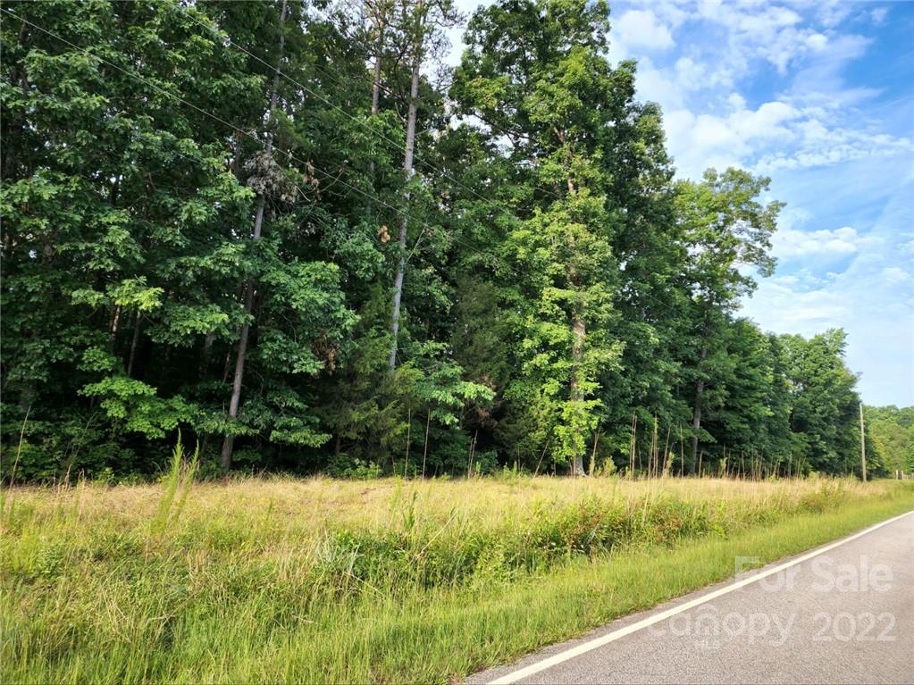 182 Austin Road Pageland, SC 29728 - Photo 4 of 5 a view of a garden