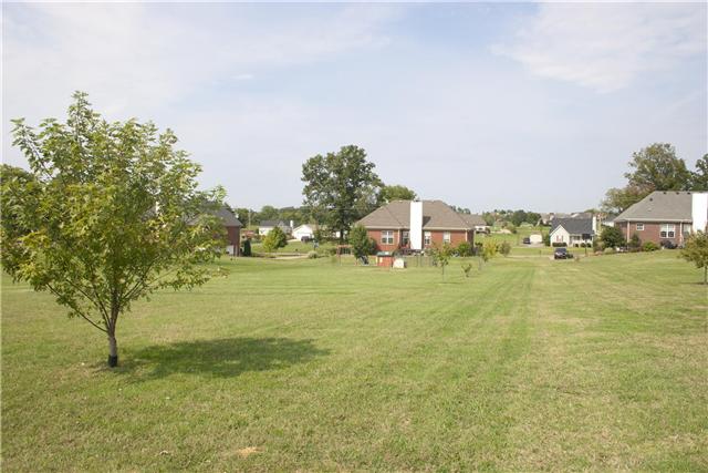 82 Bradshaw Road Lebanon, TN 37087 - Photo 2 of 20 a view of an ocean view