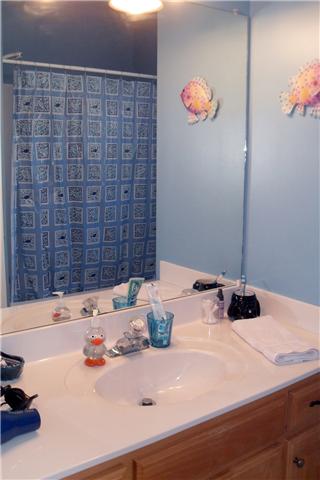 82 Bradshaw Road Lebanon, TN 37087 - Photo 19 of 20 a bathroom with a sink a vanity and a shower