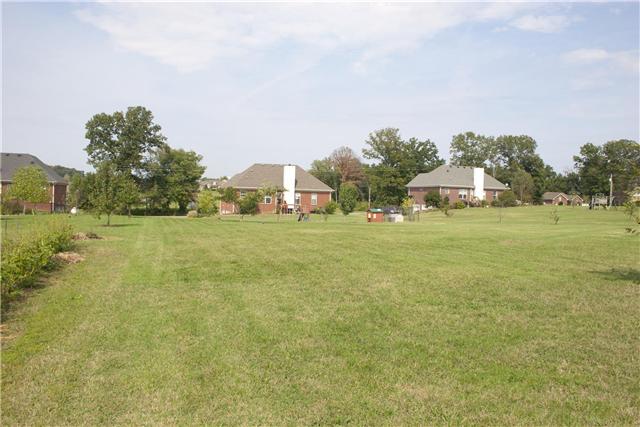 82 Bradshaw Road Lebanon, TN 37087 - Photo 5 of 20 a backyard of a house with lots of green space and fog