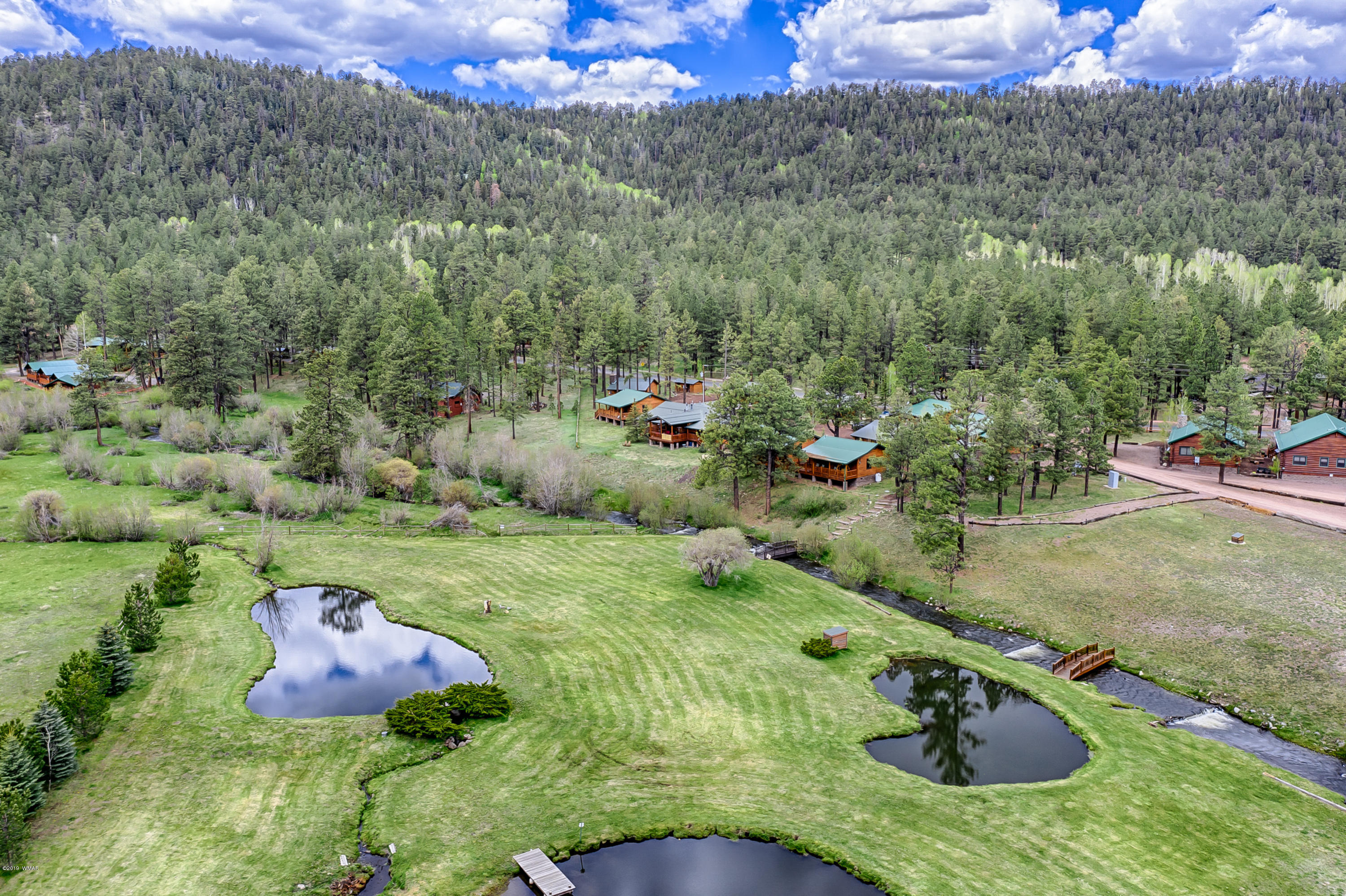1120 Main, Unit 108 Greer, AZ 85927 - Photo 12 of 35 a view of a backyard with table and chairs potted plants and large trees