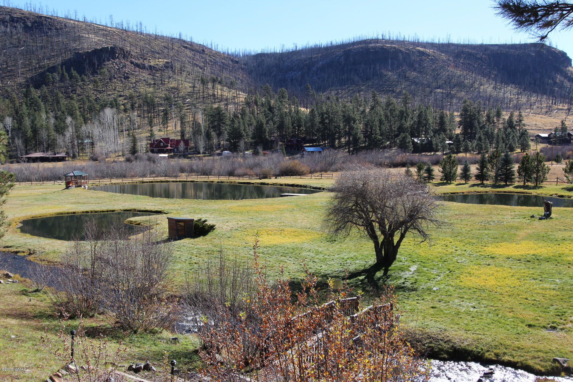 1120 Main, Unit 108 Greer, AZ 85927 - Photo 18 of 35 a view of a swimming pool with a yard